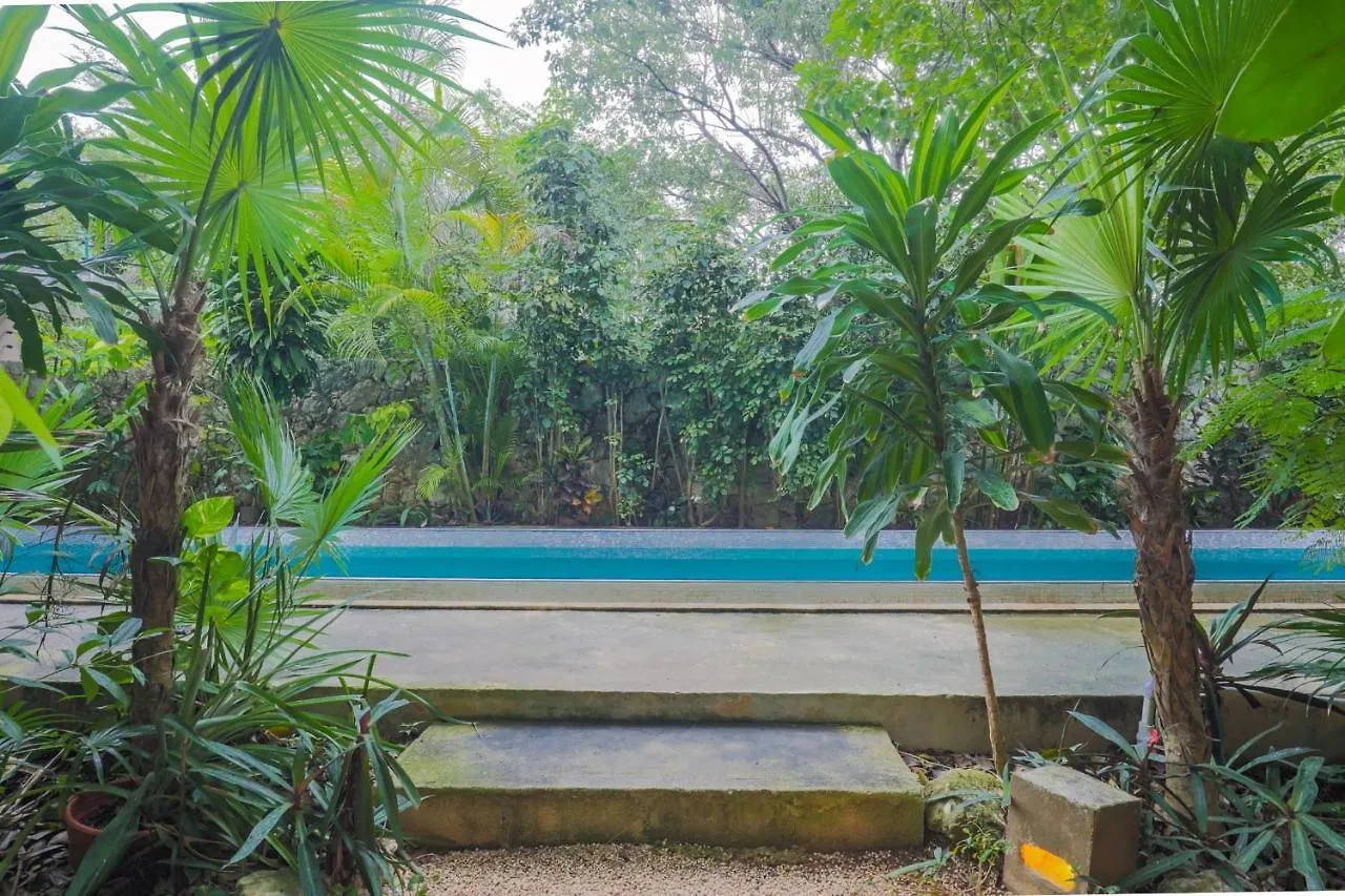 Guest House La Aldea Holistic Experience Cancún